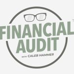 A screenshot of the Financial Audit branding