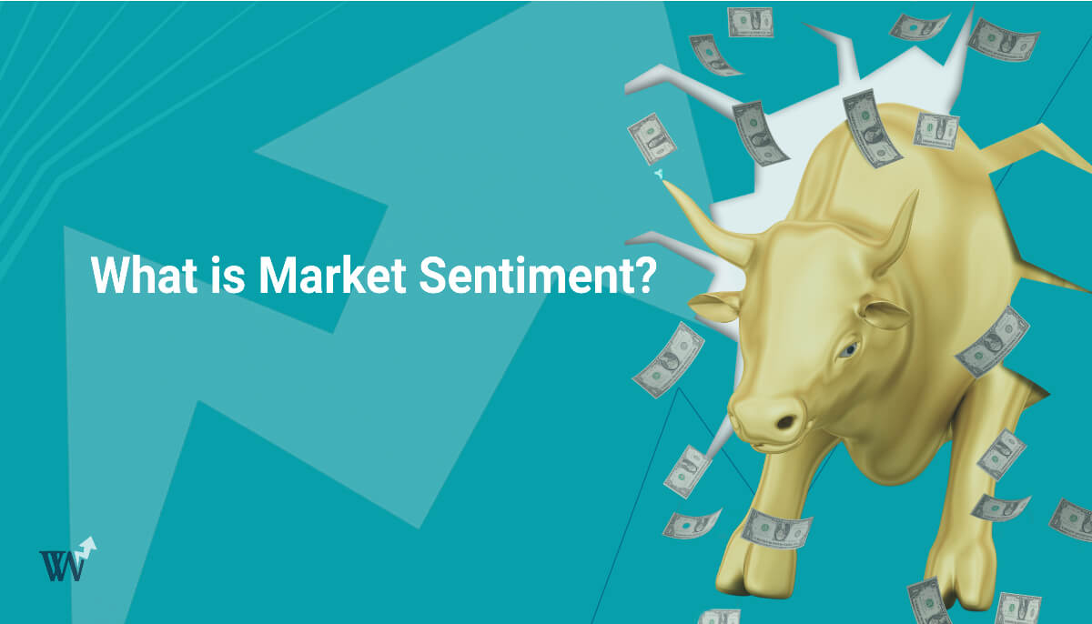 What is Market Sentiment featured image