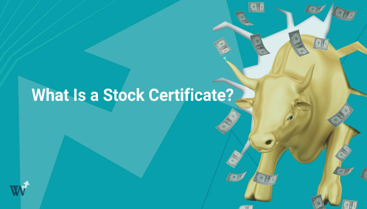 What Is a Stock Certificate featured image